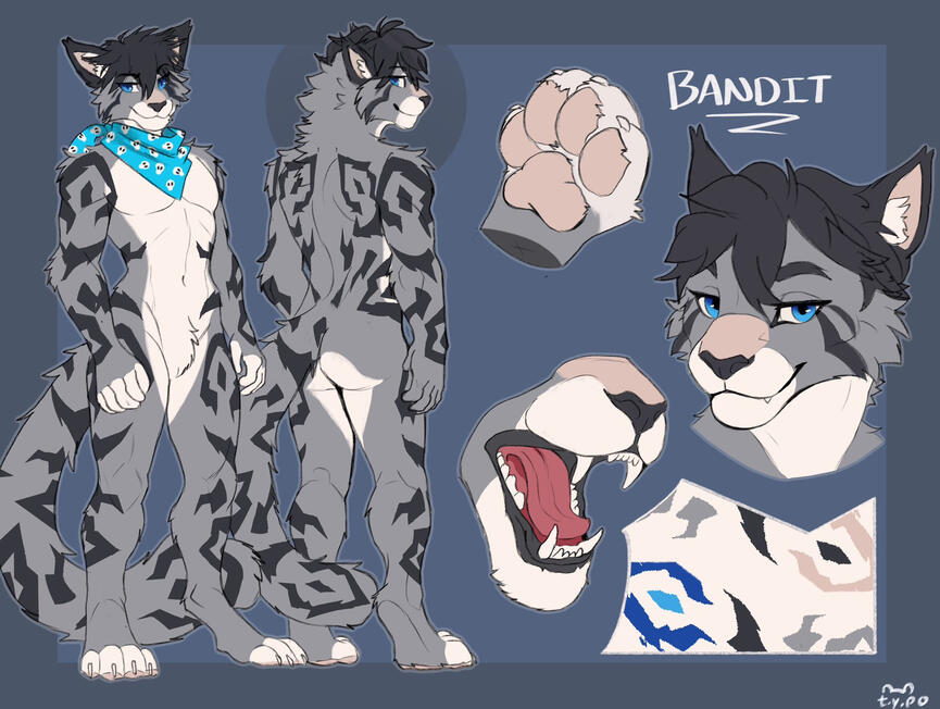 2 Fullbodies + Bust + Maw + Paw Colored